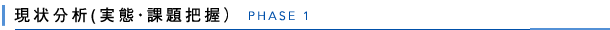 フェーズ1